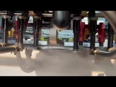 MYP-800H Automatic Die Cutting & Stripping Machine