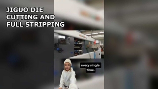 JIGUO (FULL STRIPPING) AUTOMATIC DIE CUTTING AND STRIPPING MACHINE